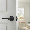 Black Zinc Alloy Door Handle Apartment Office Entrance Privacy Door Locks