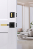 door handles luxury
