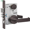 Commercial door lock panel