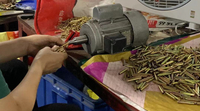 Full-inspection of Screw 