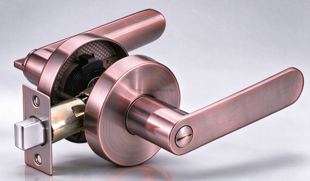 privacy door lock