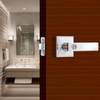 Door Levers