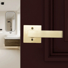 residential door lock